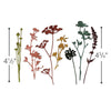 Sizzix Thinlits Die Set 7PK - Wildflowers #1 by Tim Holtz