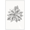 Sizzix 3-D Impresslits Embossing Folder - Poinsettia