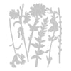 Sizzix Thinlits Die Set 6PK – Vault Wildflowers by Tim Holtz