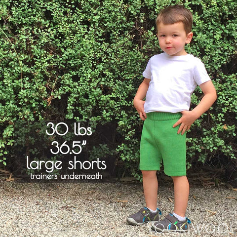 large shorts front no diaper 30 lbs