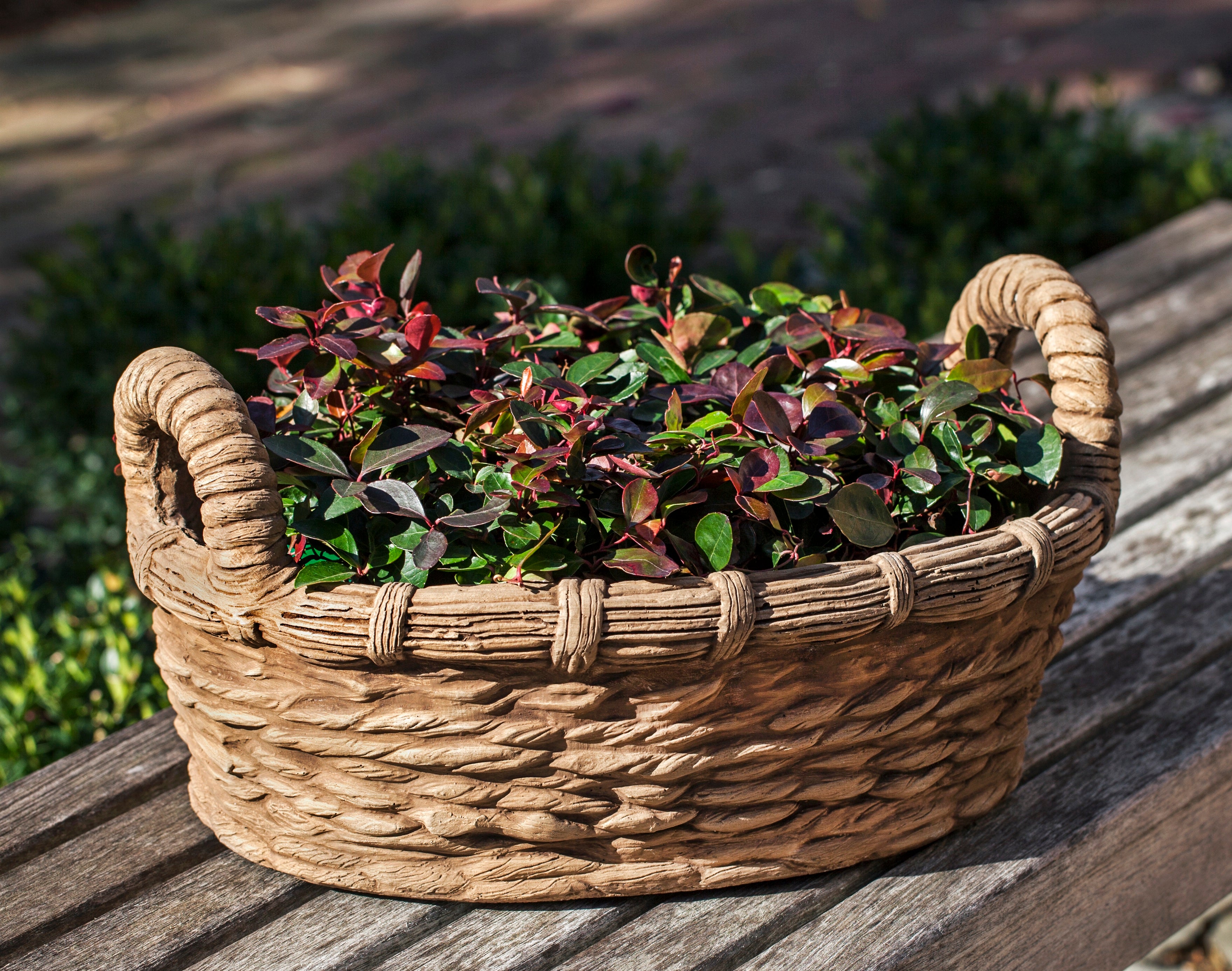 Provencal Basket Planter by Campania International