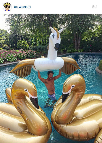 ANDREW WARREN WITH THE FUNBOY PEGASUS FLOAT AND LIMITED EDITION GOLD SWAN