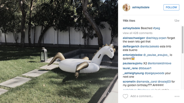 Ashley Tisdale Pegasus Unicorn Pool Float