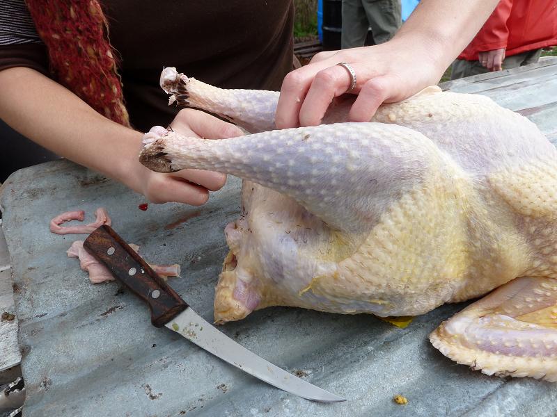 Cleaning a Store-Bought Turkey