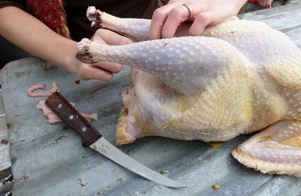 How to Clean a Turkey