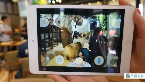 Furbo APP 實際操作畫面