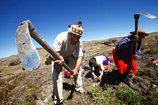 Peru Solar Over Campesino Farmer