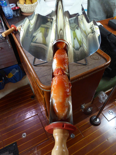 Sailing Squid Cooked with GoSun Sport Solar Cooker 