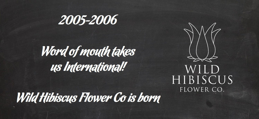 2005-2006 Wild Hibiscus Flower Company is Born