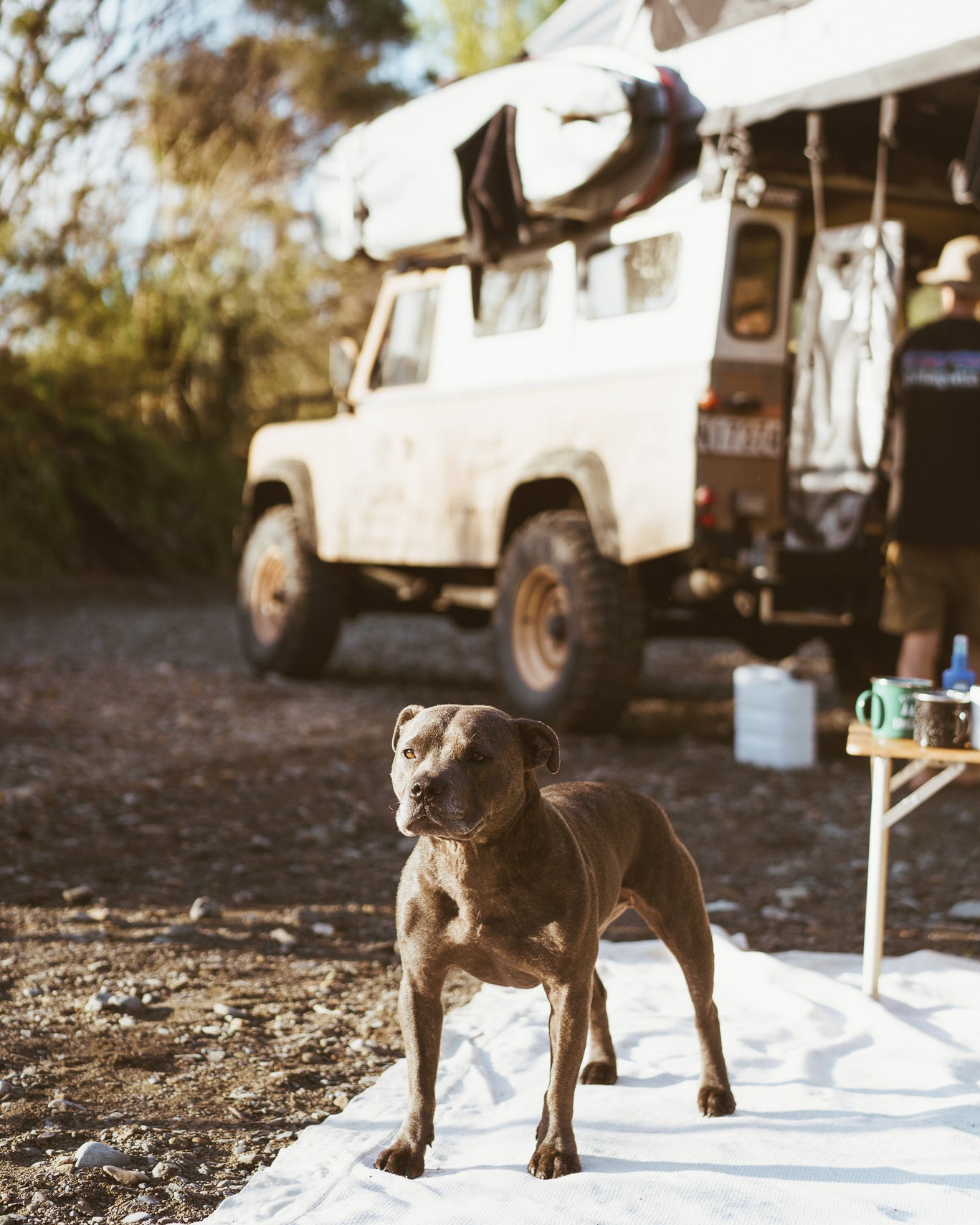 Feldon-Shelter-Emma-Jake-East-Cape-Rooftop-Tent