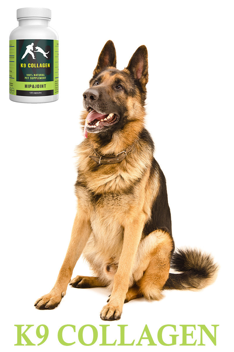 german shepherd hip supplements