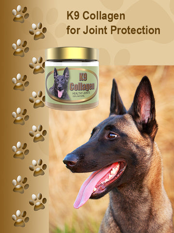joint supplement for dogs