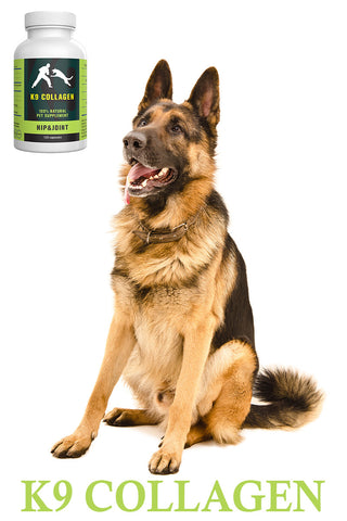 best joint supplement for dogs