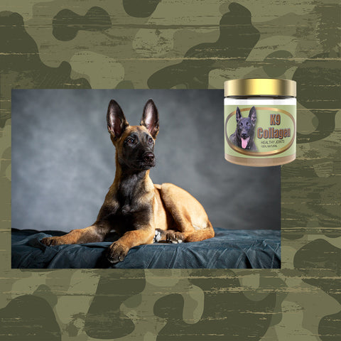 pet joint supplement for dogs