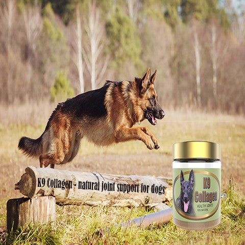 Dog supplements for joints