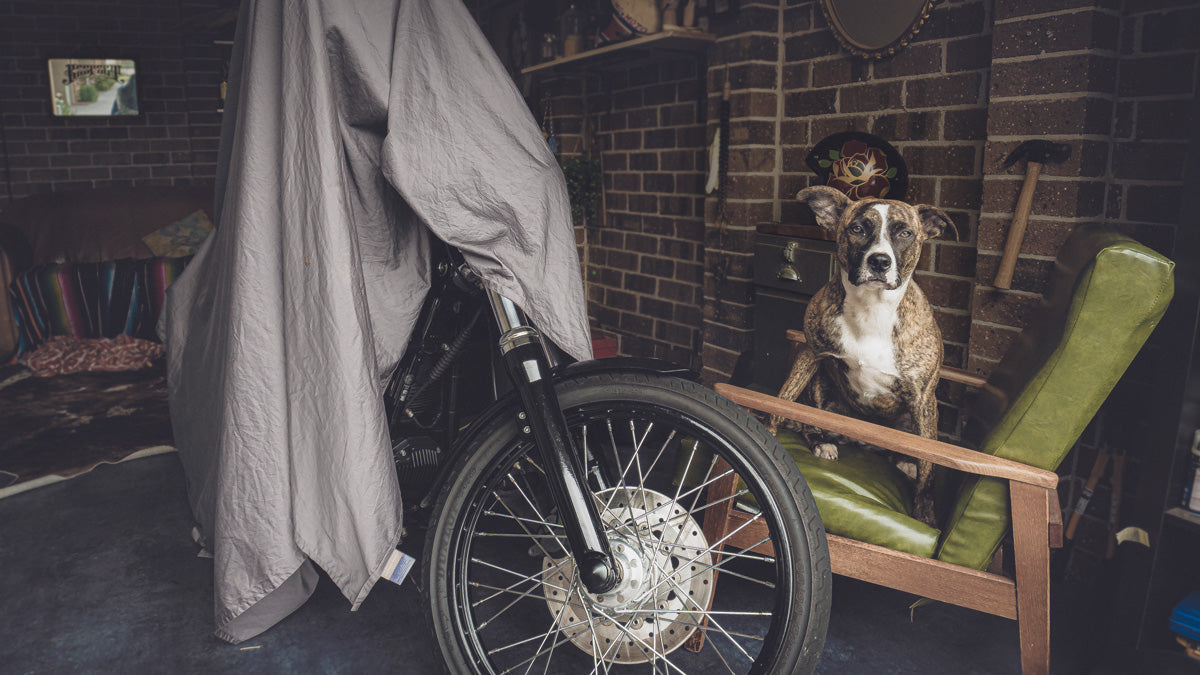 cover up your motorcycle during hibernation