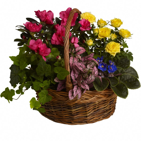 Blooming Garden Basket â€