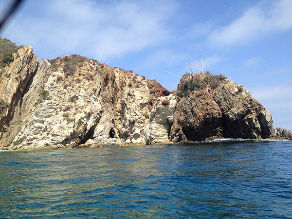 Catalina Paddle