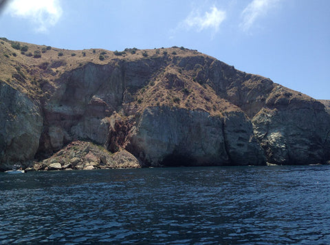 Catalina Paddle