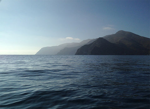 Catalina Paddle