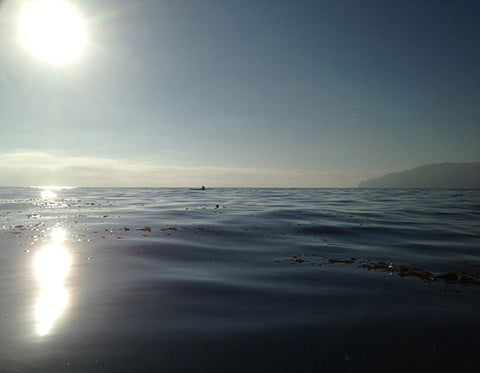 Catalina Paddle