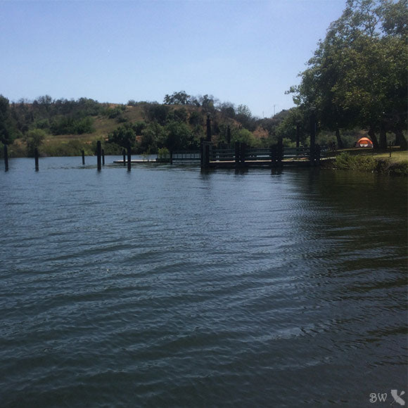 CP Explorations - Puddingstone Reservoir