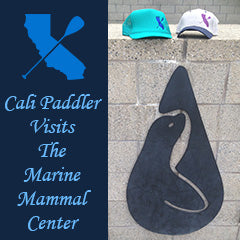 Marine Mammal Center