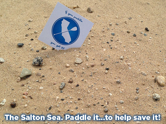 Save the Salton Sea