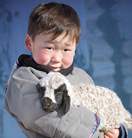 1 Sheep