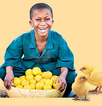 Chickens + Fruit Trees