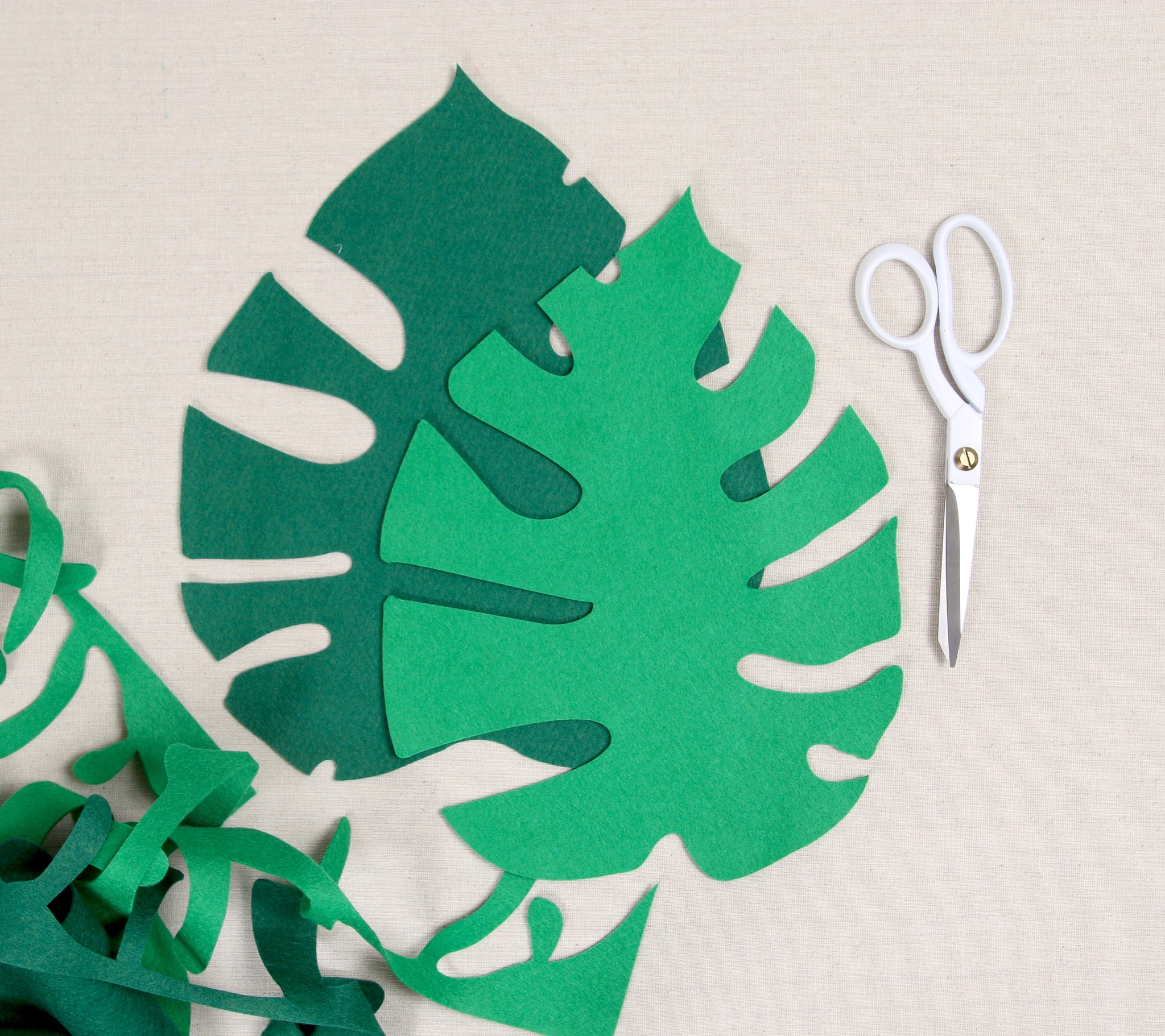 felt monstera leaf directions