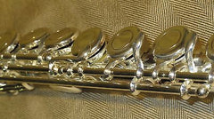 Flute Rental ($20 per month) BRAND NEW!!