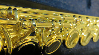 Chateau Professional C Flute Nickel Plated
