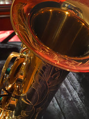 Chateau Alto Saxophone Professional Model Cognac Color with 85% (TYA-900)