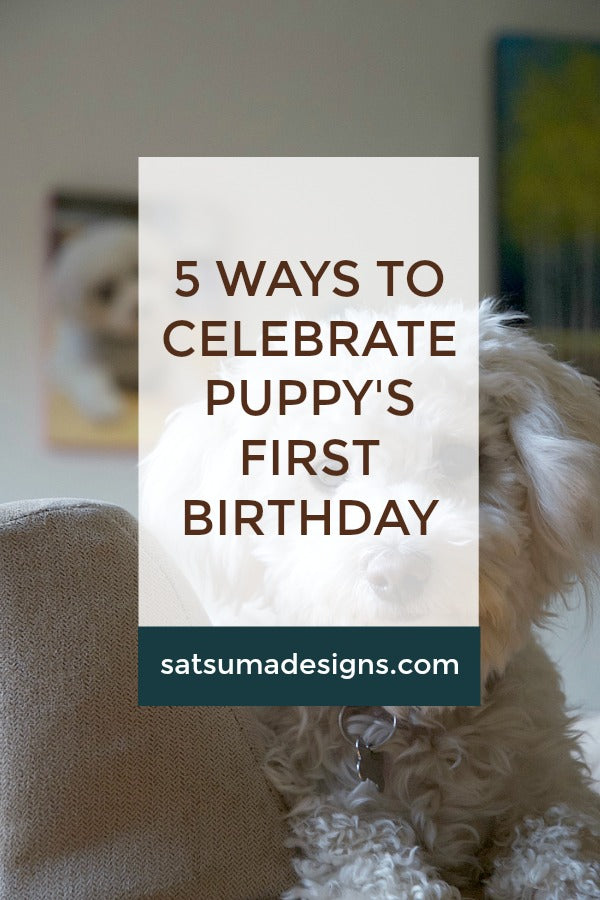 Click through to see how we celebrate our puppy's first birthday with ease and fun! | dog birthday party | puppy party | SatsumaDesigns.com | #momsbestfriend #puppy #giveaway