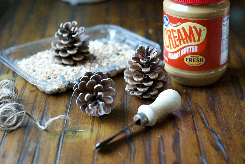 DIY pinecone bird and critter feeder to keep animals happy and healthy all winter long. This is a quick and easy rainy or snow day craft for kids and adults! #pinecone #crafts #birdfeeder #critters #easycrafts #naturecrafts #satsumadesigns