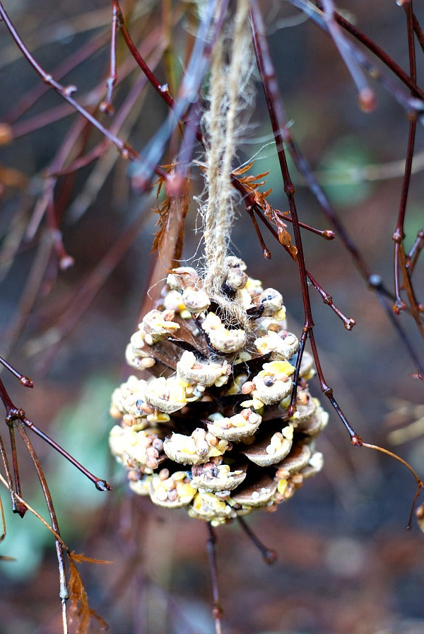 DIY pinecone bird and critter feeder to keep animals happy and healthy all winter long. This is a quick and easy rainy or snow day craft for kids and adults! #pinecone #crafts #birdfeeder #critters #easycrafts #naturecrafts #satsumadesigns