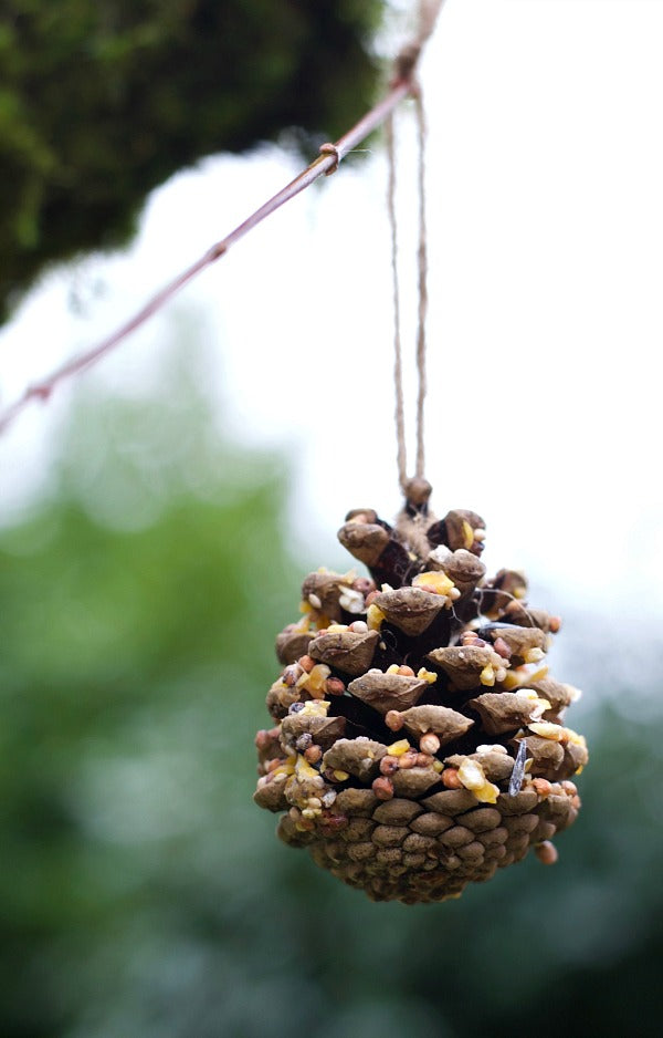 DIY pinecone bird and critter feeder to keep animals happy and healthy all winter long. This is a quick and easy rainy or snow day craft for kids and adults! #pinecone #crafts #birdfeeder #critters #easycrafts #naturecrafts #satsumadesigns