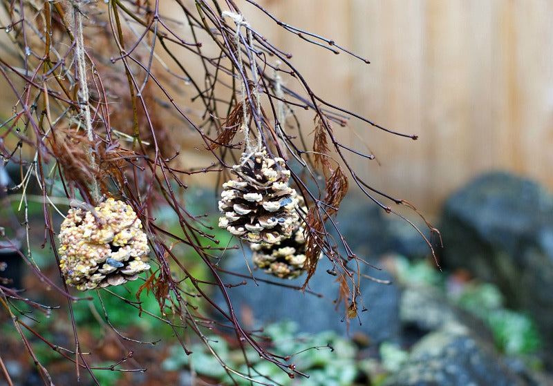 DIY pinecone bird and critter feeder to keep animals happy and healthy all winter long. This is a quick and easy rainy or snow day craft for kids and adults! #pinecone #crafts #birdfeeder #critters #easycrafts #naturecrafts #satsumadesigns