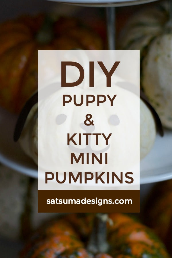 Click through to see how I made my easy DIY puppy and kitty mini pumpkins for Halloween fun | Halloween decorating ideas | Jack-o-lantern alternatives | SatsumaDesigns.com #halloween #jackolantern