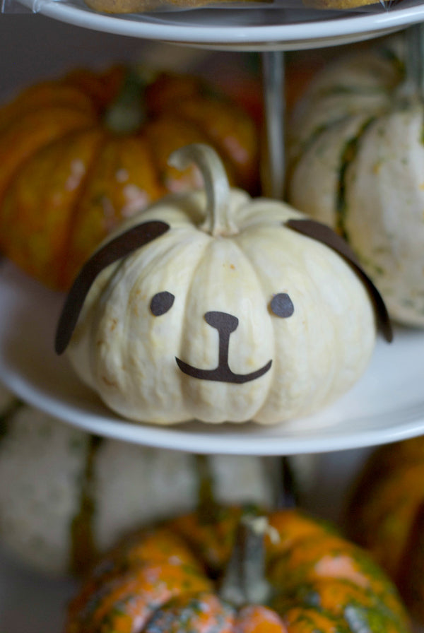 Click through to see how I made my easy DIY puppy and kitty mini pumpkins for Halloween fun | Halloween decorating ideas | Jack-o-lantern alternatives | SatsumaDesigns.com #halloween #jackolantern