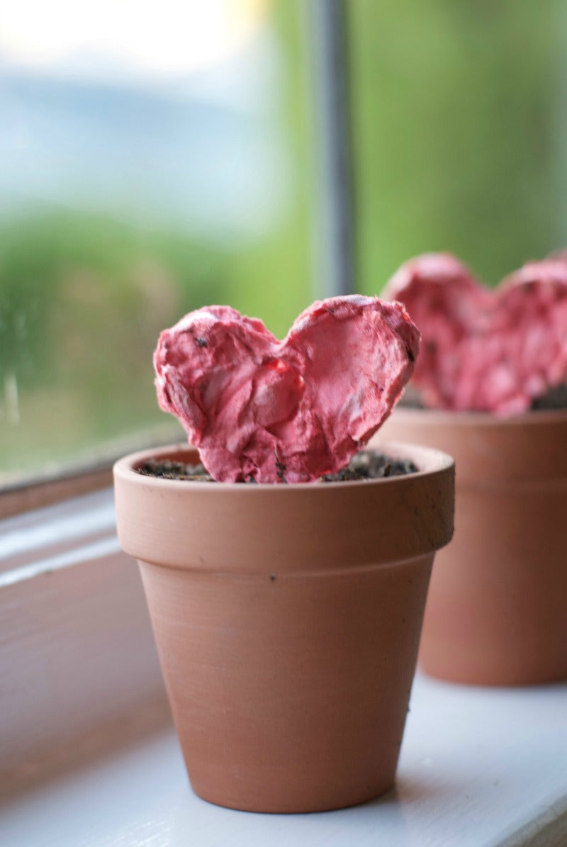 DIY seed paper hearts