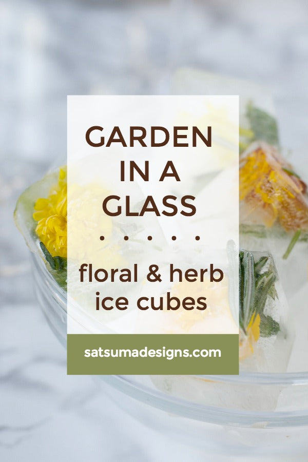 Click through to make my garden in a glass edible flower, rosemary and mint ice cubes | Easy entertaining tricks | These floral ice cubes are easy to make and so cute to share | SatsumaDesigns.com #floral #cocktails
