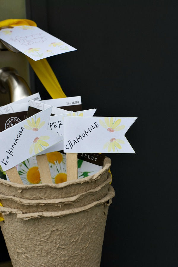 May Day Herbal Tea Gift Surprise. Share this easy May Day gift basket that includes herbal tea seeds in small peat pots. Includes my free printable May Day gift tag and plant tags. #mayday #maydaygift #giftideas #mothersdaygifts #gifts