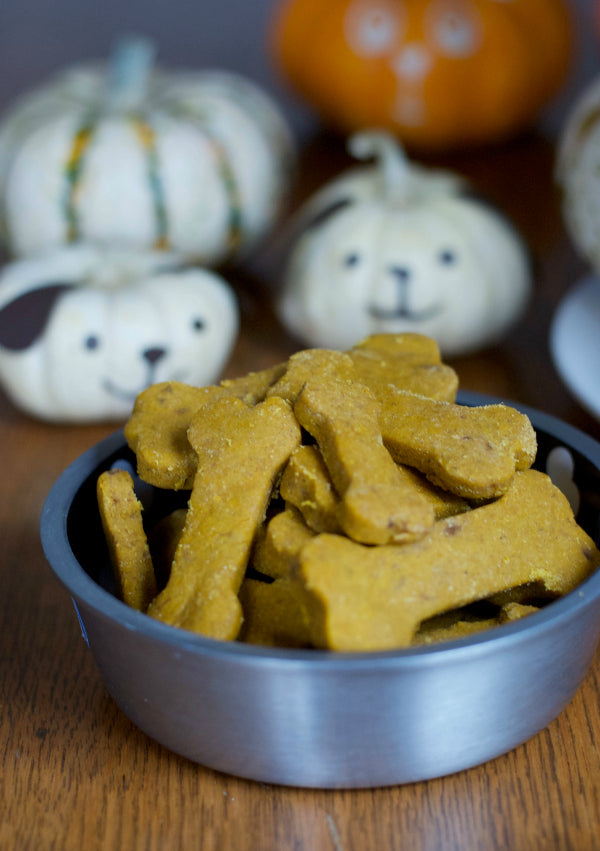Click through to discover my easy recipe for peanut butter pumpkin dog treats | SatsumaDesigns.com #dog #treats