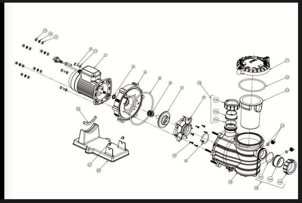 parts of a pool pump