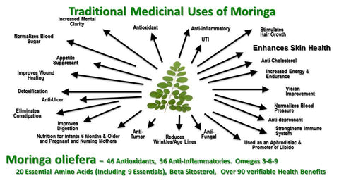 moringa,moringa oleifera,moringa beneficios,cha de moringa,moringa planta,moringa oleifera beneficios,beneficios da moringa,moringa para que serve,arvore da vida,folhas de moringa,moringa oleifera arvore,moringa planta medicinal,o que é moringa