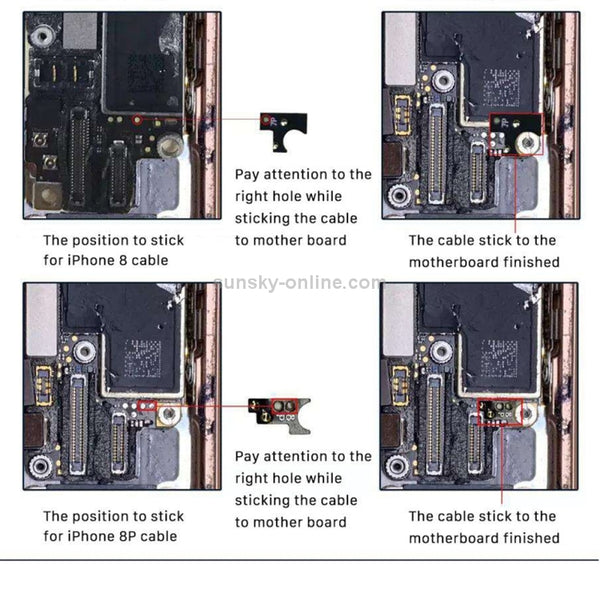 Home Button