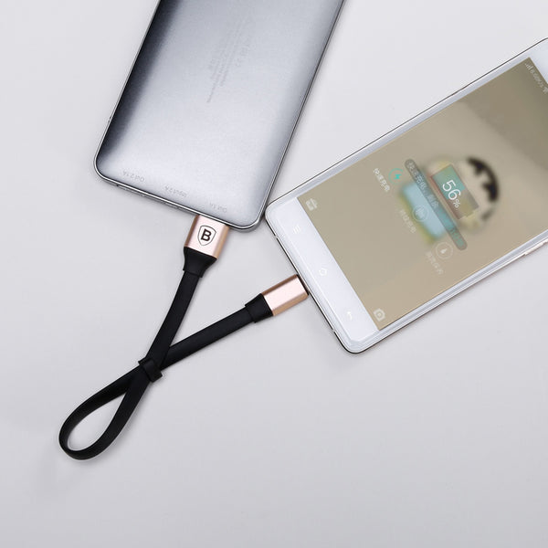 Baseus Aluminium Alloy 0.23m 2A 8 Pin to USB Micro USB 2 in 1 Portable Data Transfer Sync ...(Black)