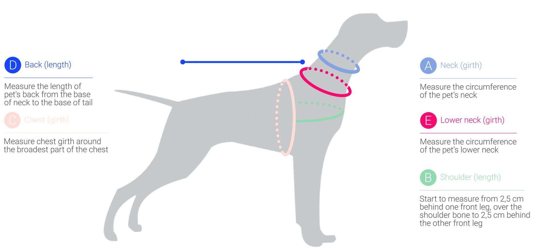 how to measure your dogs chest girth neck back 